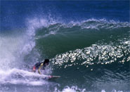 Rider�FYukio Ogawa