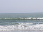 1-s-2.jpg