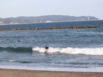 115-s-1.jpg